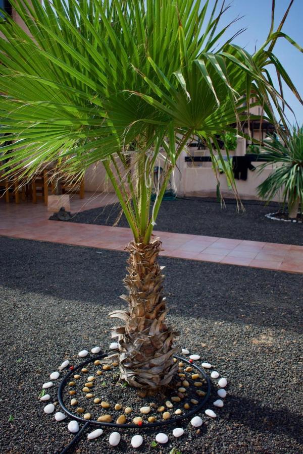 The Wind'S Breath, Perfect For Relaxing Getaway Villa La Oliva Luaran gambar